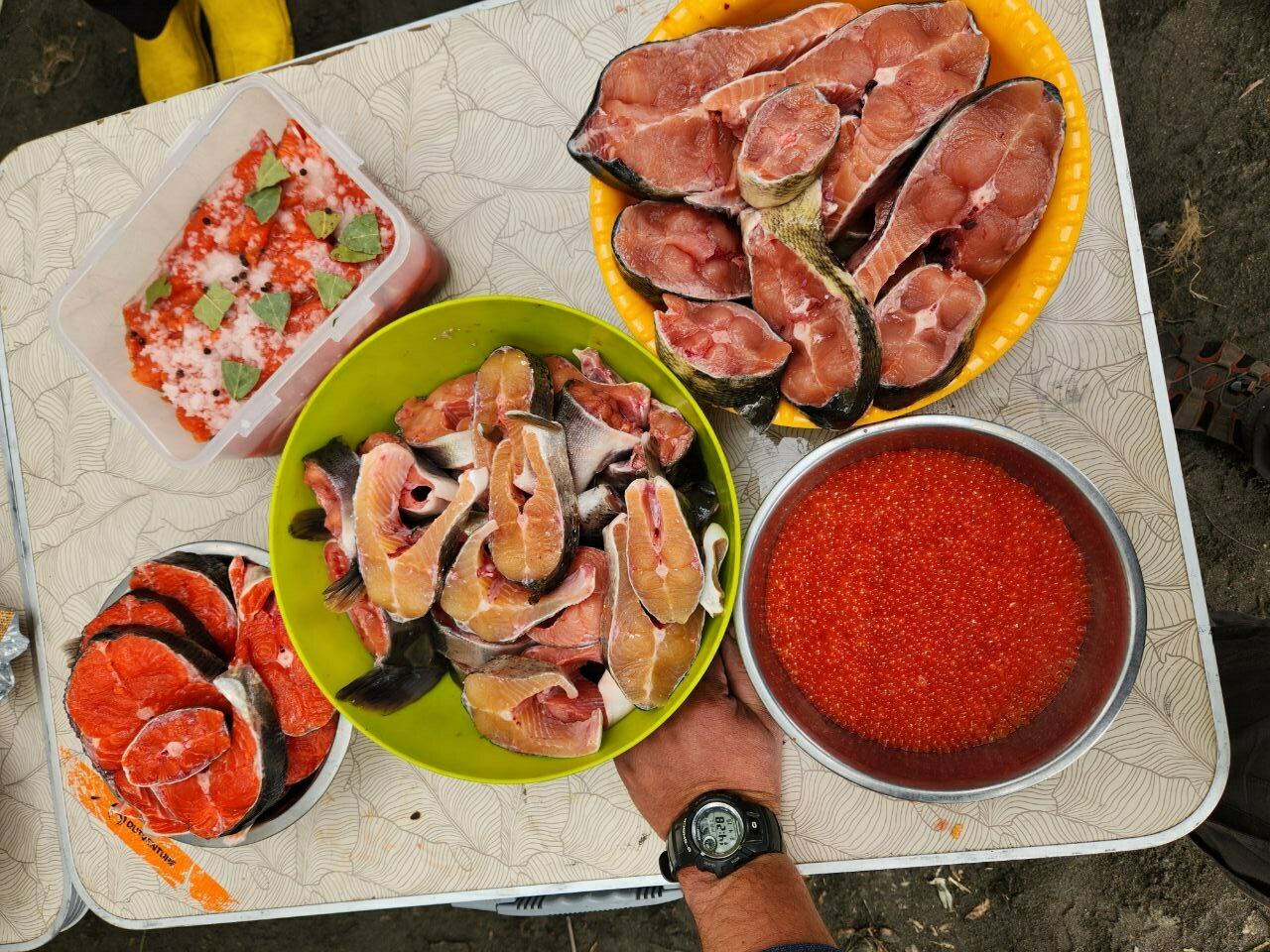 <span style="font-weight: bold;">Река Быстрая и вулканы Камчатки </span><br>